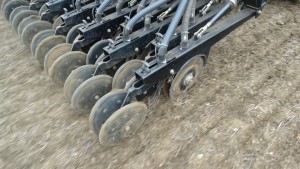 Great Plains at Cereals