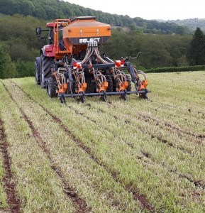 Pro-Til 3T Select direct till drill