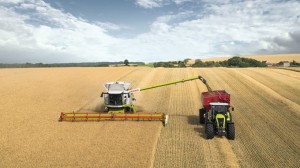 claas