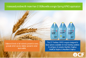 ct-fertilisers