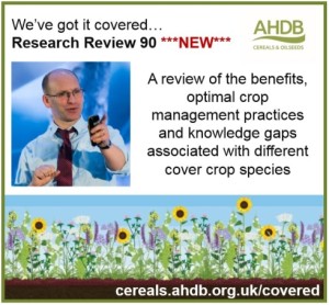 cover-crops