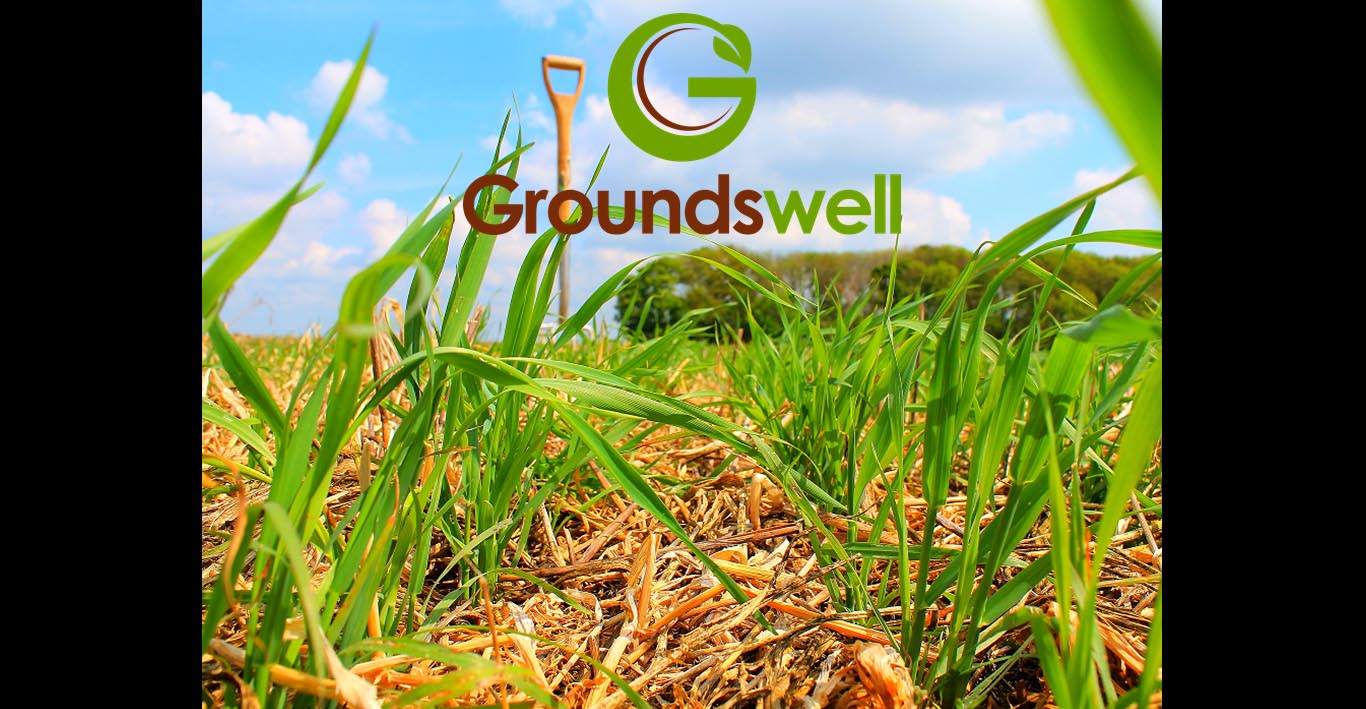 Groundswell 2019 Programme Online Tillage and Soils best practice