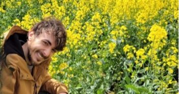 Cameras Reveal Secret Allies in the Fight Against Oilseed Rape Pests