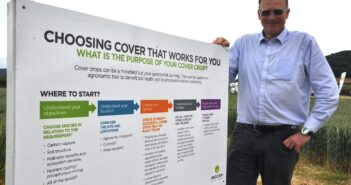 Take Care with Cover Crops to Avoid Problems Later