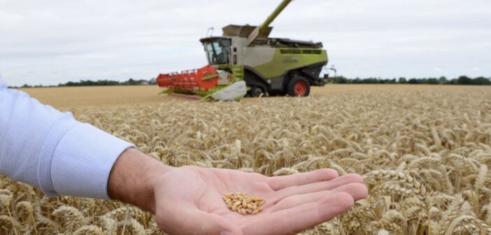 Regenerative Transition Support