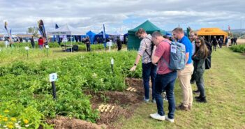 Potatoes in Practice – Driving Innovation and Collaboration