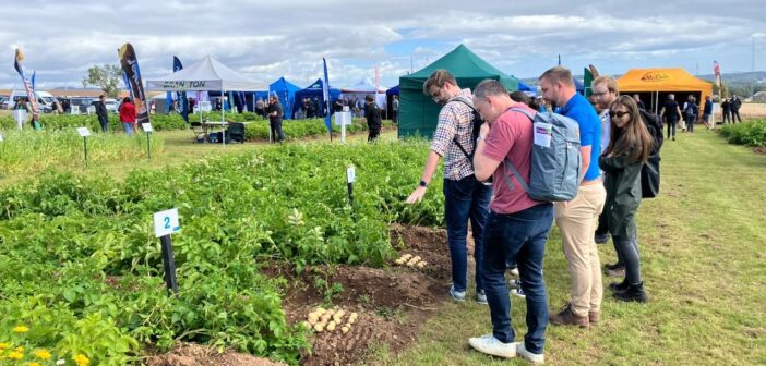 Potatoes in Practice – Driving Innovation and Collaboration