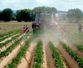 Innovation Meets Practice at PotatoEurope 2026