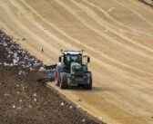 Glyphosate ban risks higher food prices