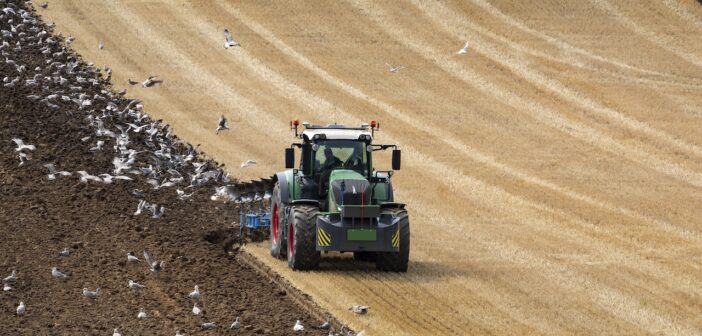 Glyphosate ban risks higher food prices