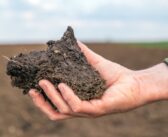 AHDB pilot suggests soil carbon may be underestimated