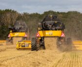 Scottish barley growers show strong regen foundations
