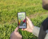 A vision for the future of agronomy