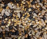 Metering roller for challenging cover crop and SFI seed blends
