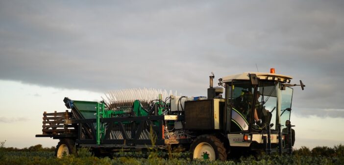 Sustainable broccoli partnership