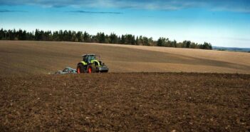 Fresh confidence for UK oilseed rape