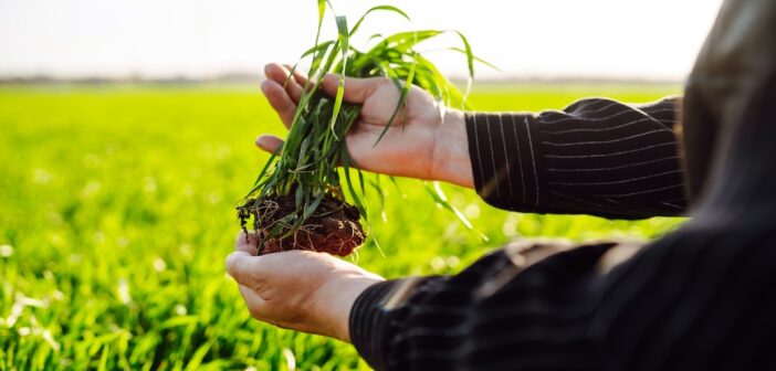 Programme for credible, scalable regenerative agriculture