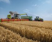 Live combine grain quality analysis