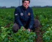 Oilseed rape this year’s star performer