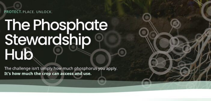Diagnosing phosphorus availability beyond soil P indices