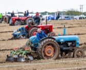 Ploughing tradition and family pride at 75th British Championships