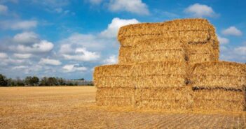 Consider nutrient removal when selling straw 